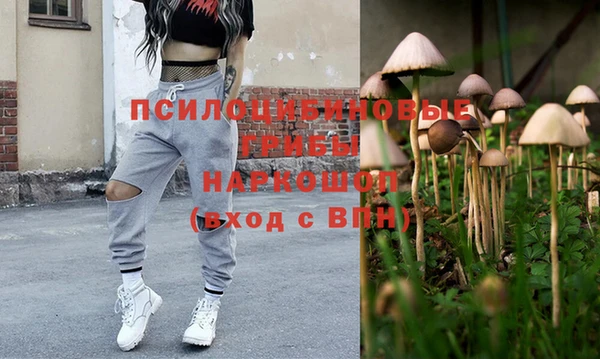 амф Балахна
