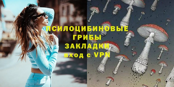 PSILOCYBIN Аркадак