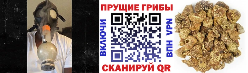 Галлюциногенные грибы мицелий  Великие Луки 